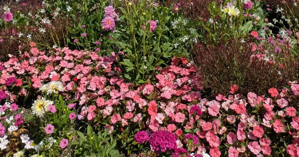 Disneyland Paris in May: The Ultimate Guide (Pros, Cons & Tips)