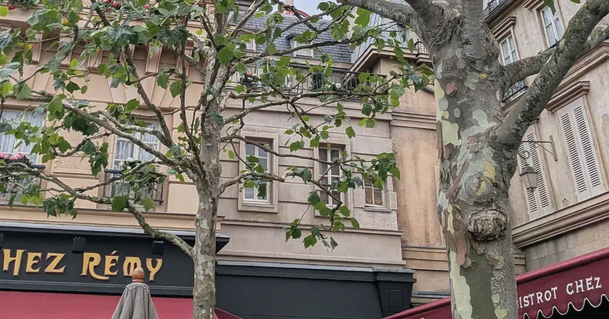 Disneyland Paris Meal Plans: The Definitive Guide to Save and Enjoy to the Fullest